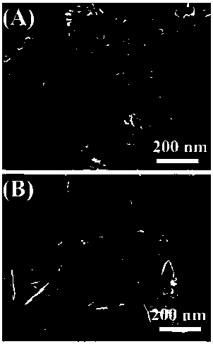 Preparation method of nano composite MoS2/Ag/TiO2 NTs