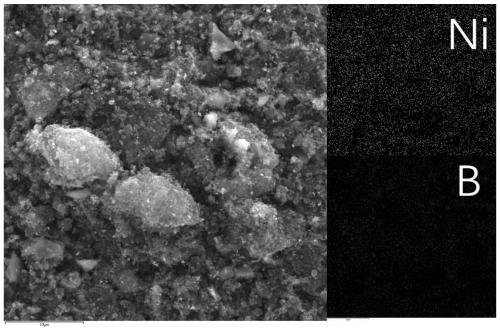 Nickel boride/boron-doped porous carbon material and preparation thereof, and application in lithium-sulfur battery