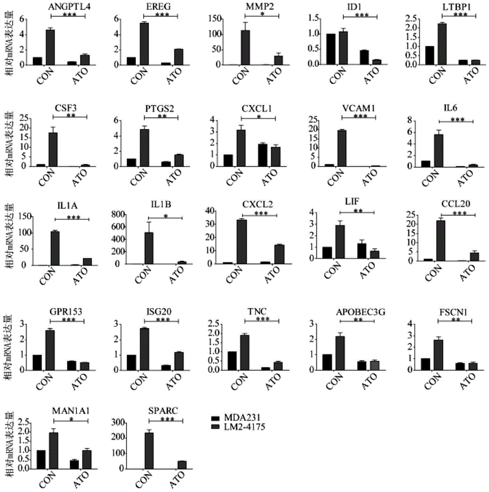 Arsenic trioxide antineoplastic new use and anti-tumor preparation