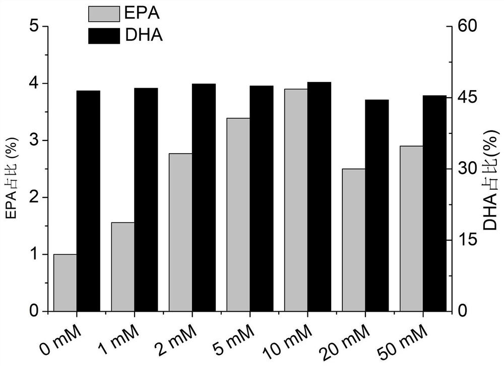 Method for producing EPA and DHA through schizochytrium limacinum fermentation