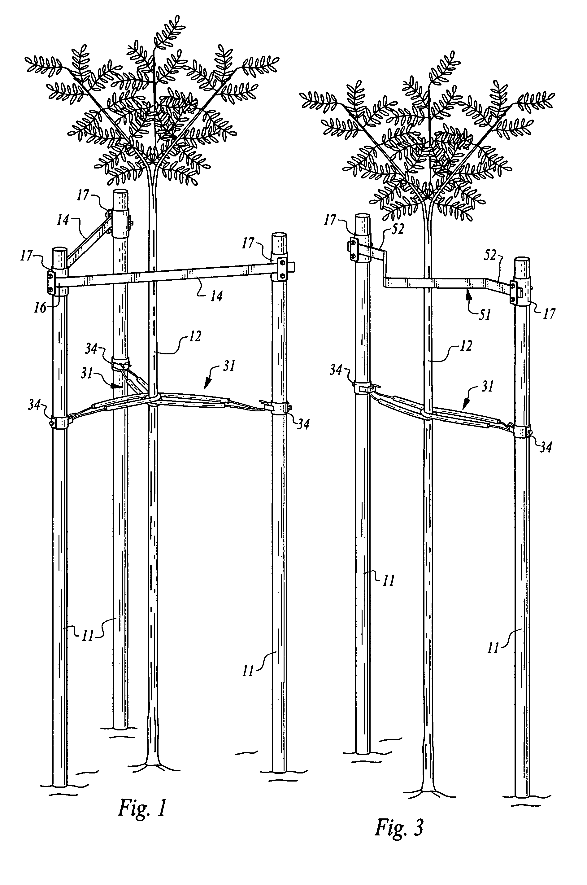 Apparatus for staking trees