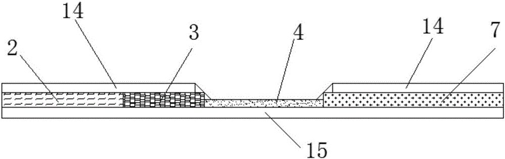 Fluorescence immunochromatography test paper for detecting zearalenone