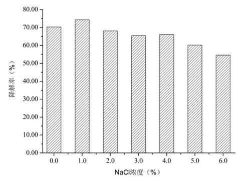 Ralstoniasp. and application thereof in bioremediation of petroleum-contaminated saline-alkali soil