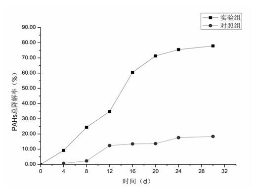 Ralstoniasp. and application thereof in bioremediation of petroleum-contaminated saline-alkali soil