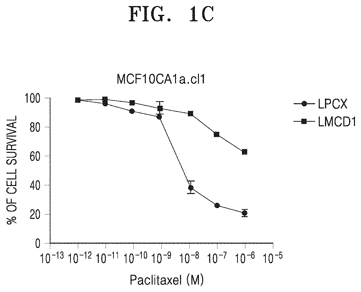 Method for diagnosis of metastatic cancer or taxane-based drug-resistant cancer by using lmcd1 protein and gene coding therefor