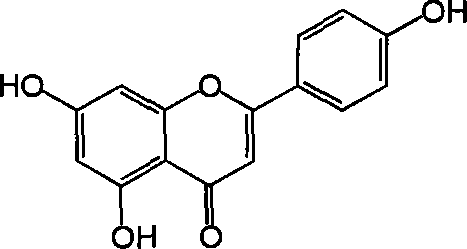 Scutellaria barbata total flavone and its application in preparing influenza virus resisting medicine