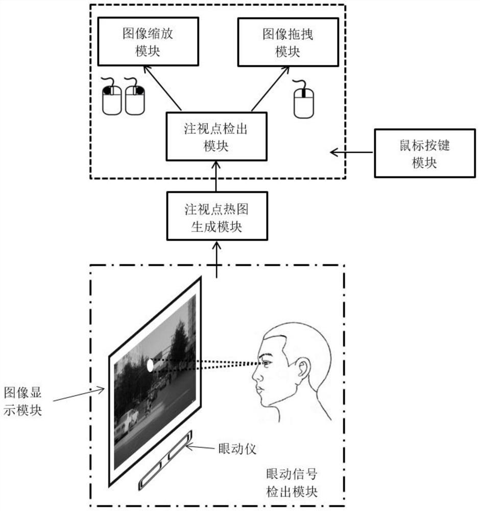 An image scaling and dragging method based on eye movement signals