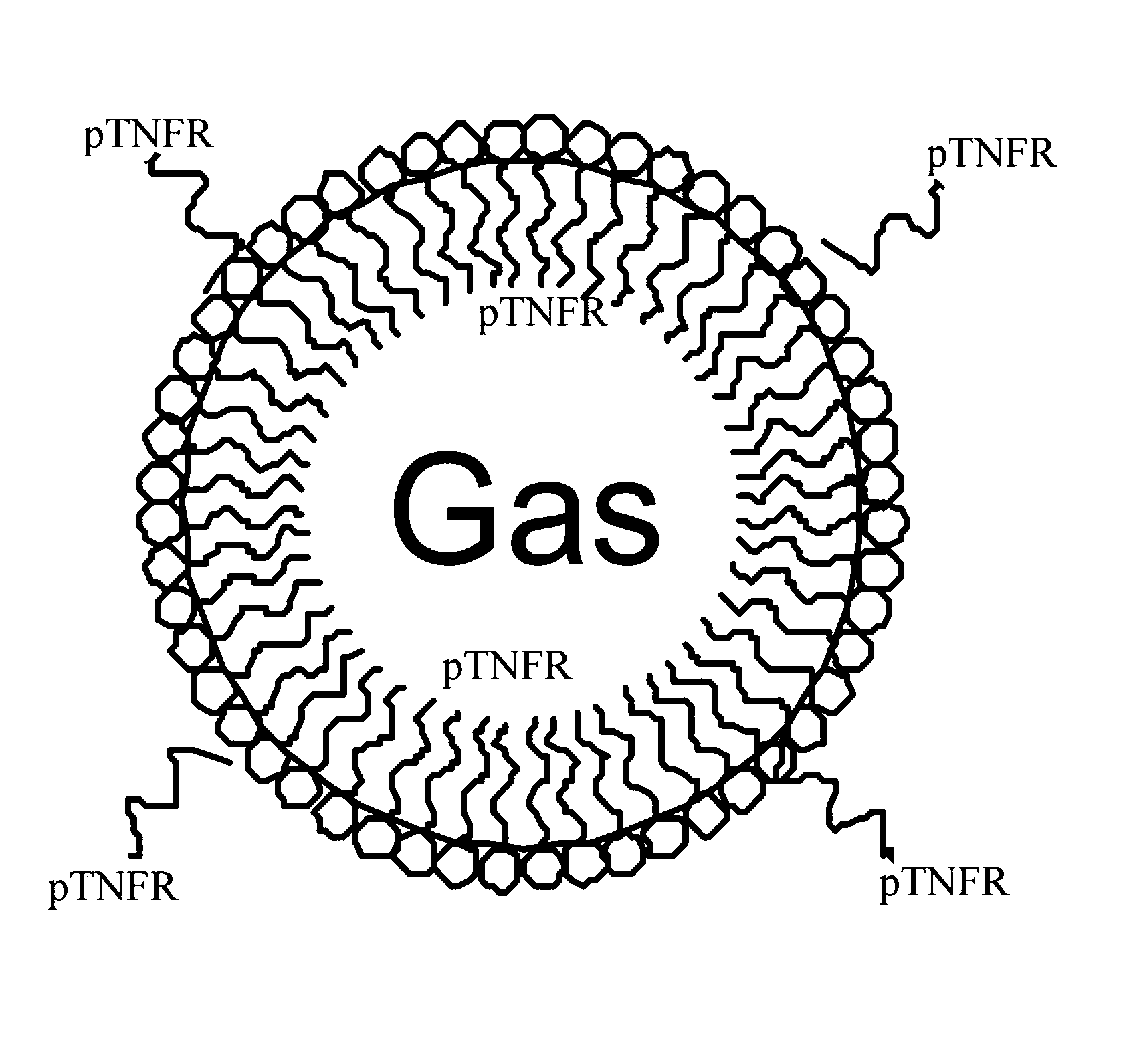 Ultrasonic microbubbles for treating arthritis and use thereof