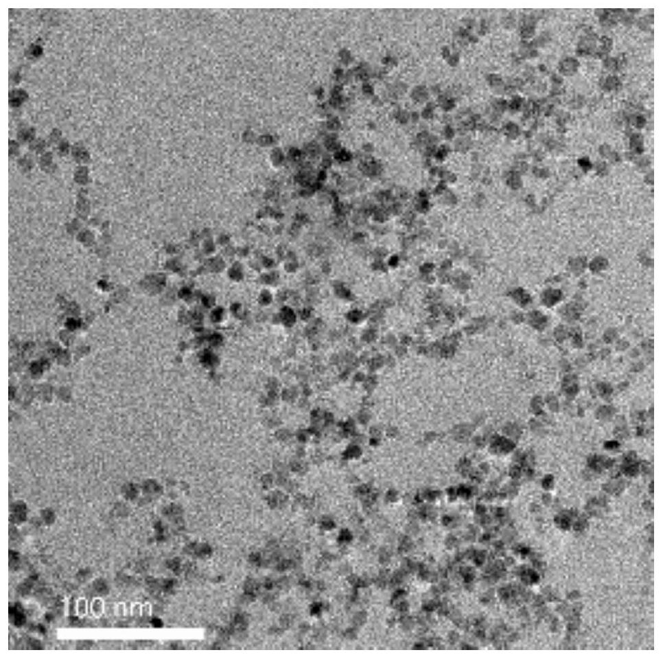 Application of modified nano iron oxide in preparation of medicine for preventing and/or treating inflammatory bowel disease