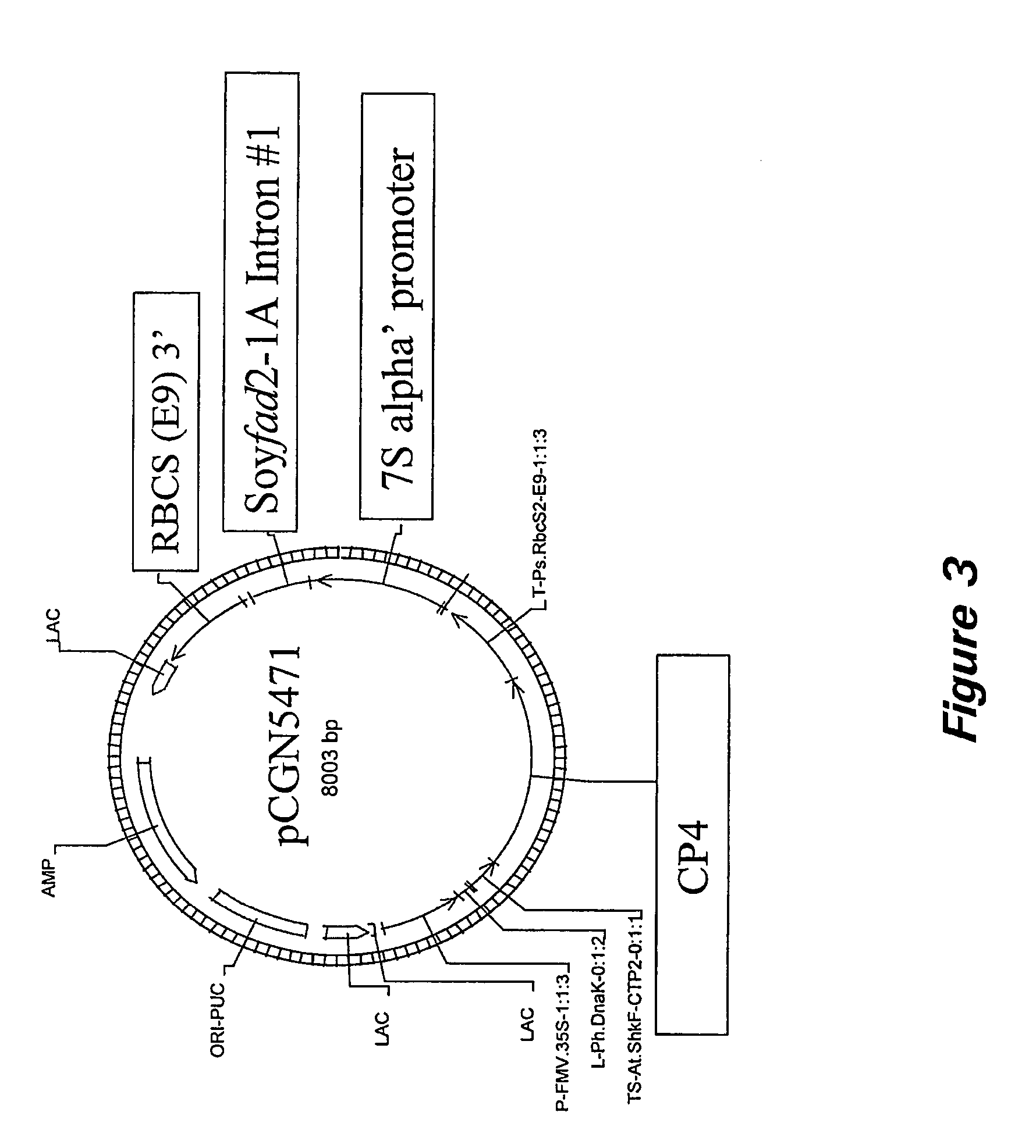 Nucleic acid sequences and methods of use for the production of plants with modified polyunsaturated fatty acids