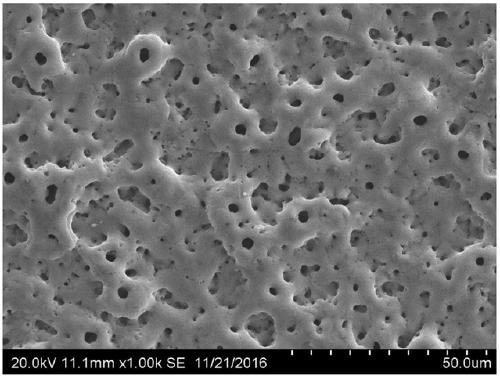 A kind of micro-arc oxidation preparation method of magnetic tio2 bioactive coating