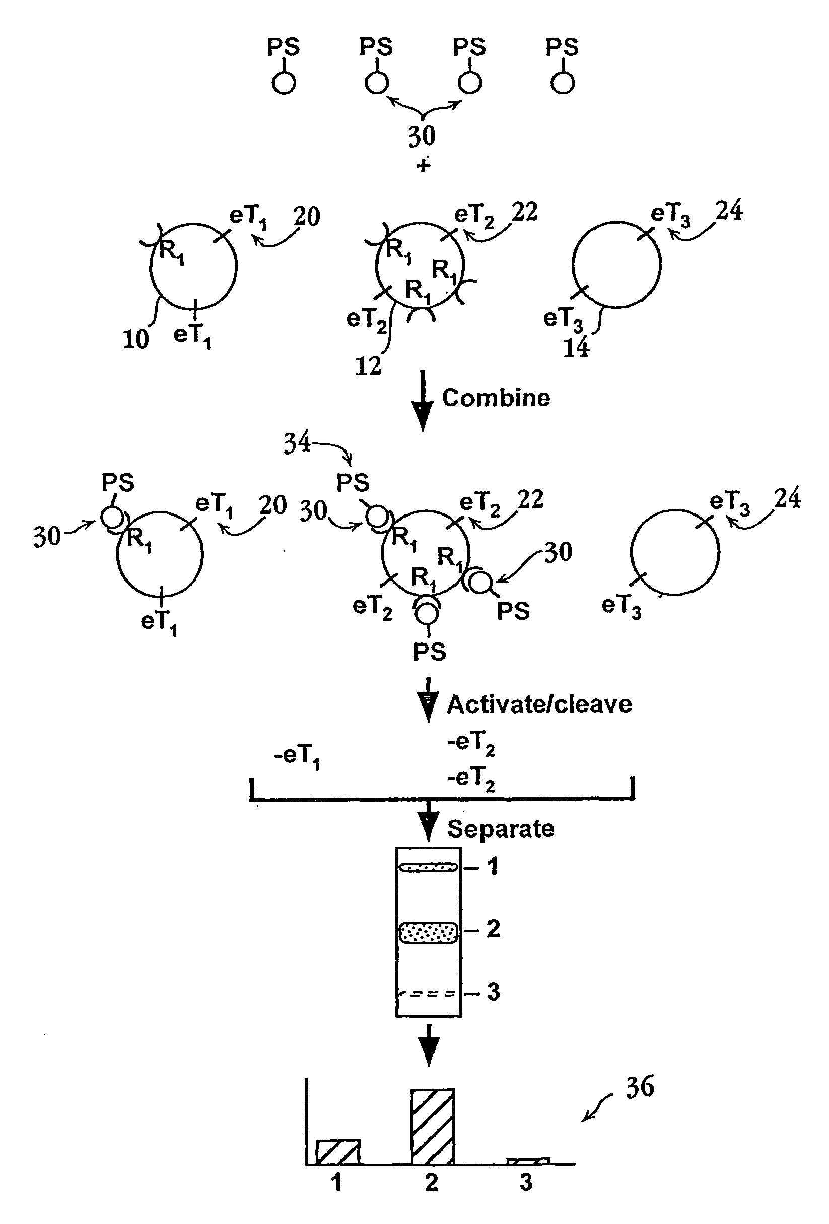 Methods and compositions for screening cell binding molecules