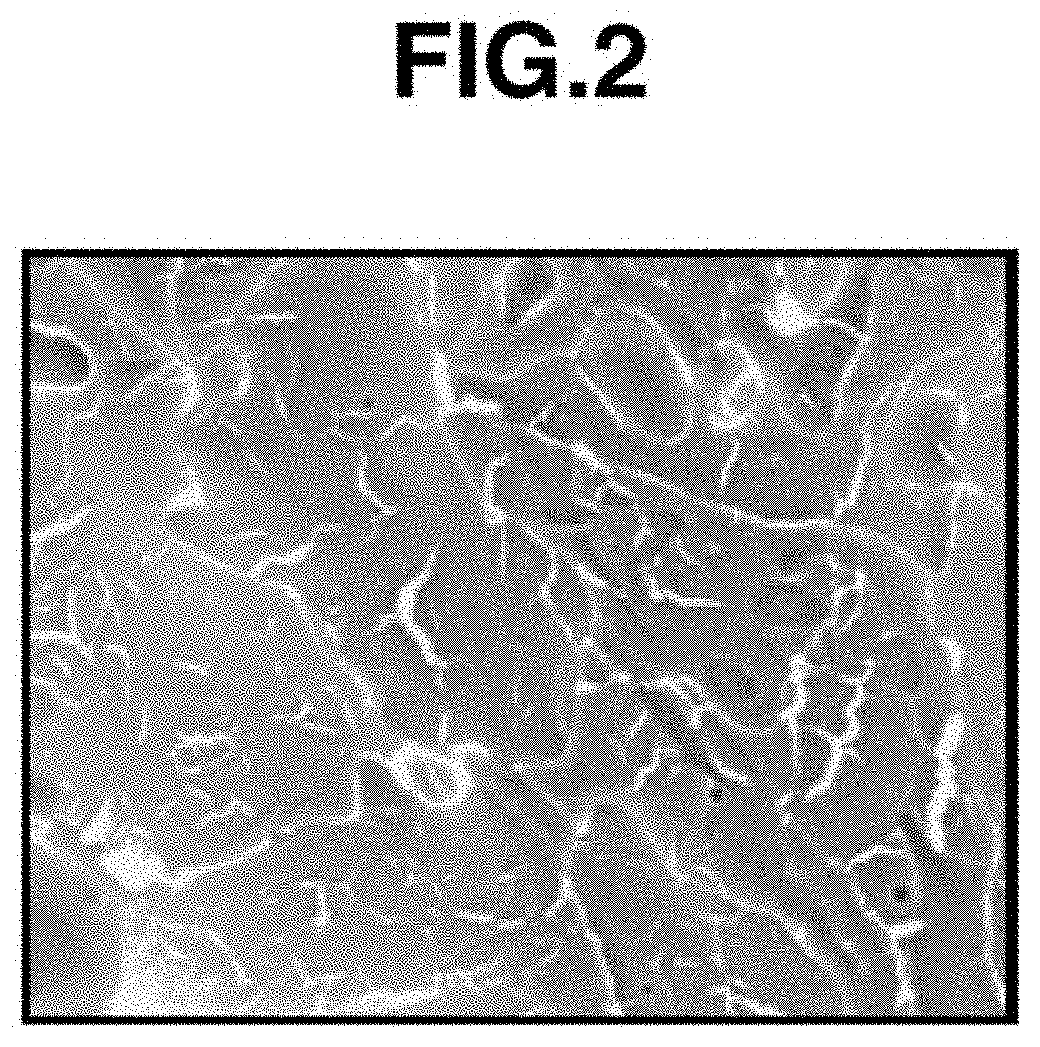 Yttrium fluoride sprayed coating, spray material therefor, and corrosion resistant coating including sprayed coating