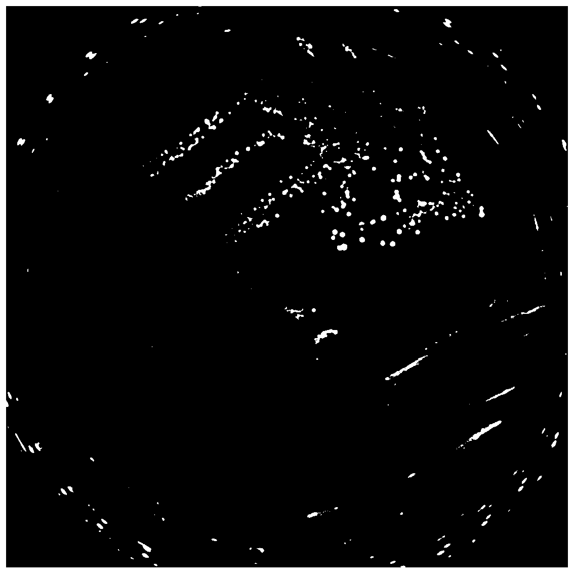 Lactobacillus fermentum 9-4 and application thereof