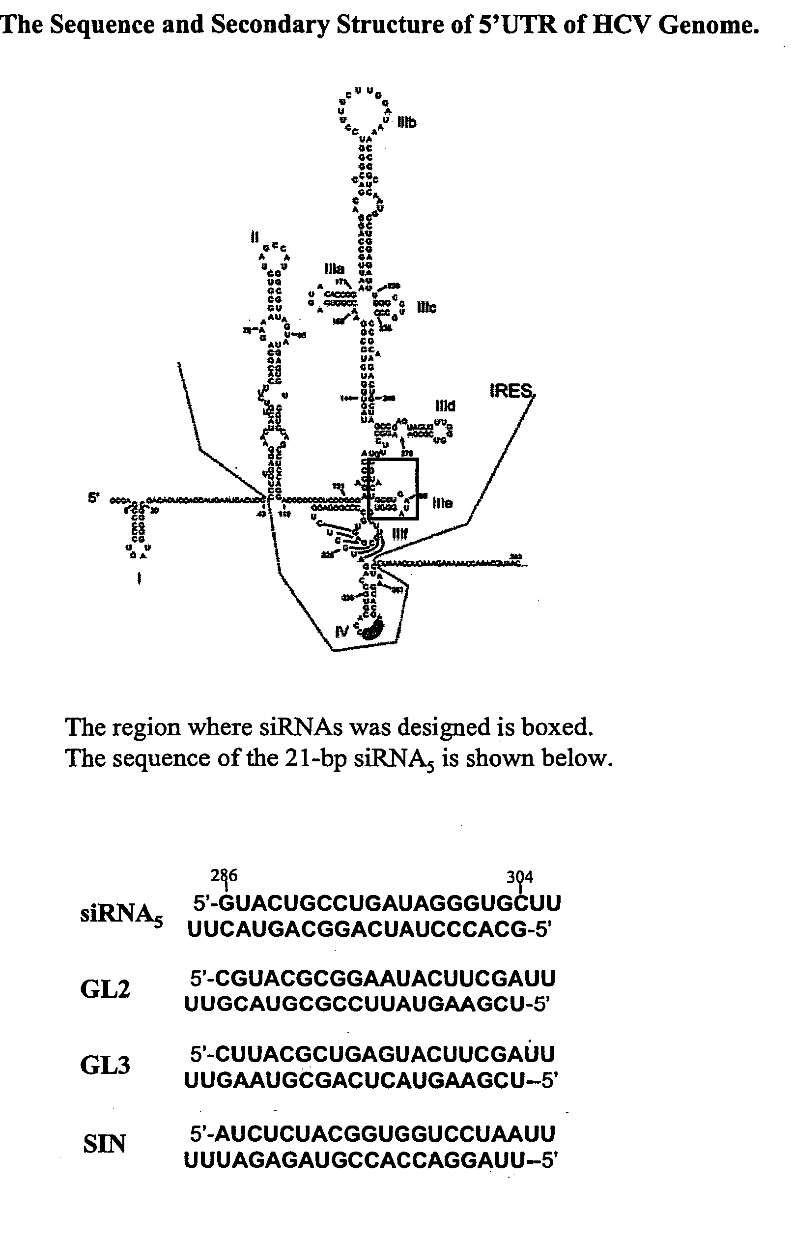 Modified small interfering RNA molecules and methods of use