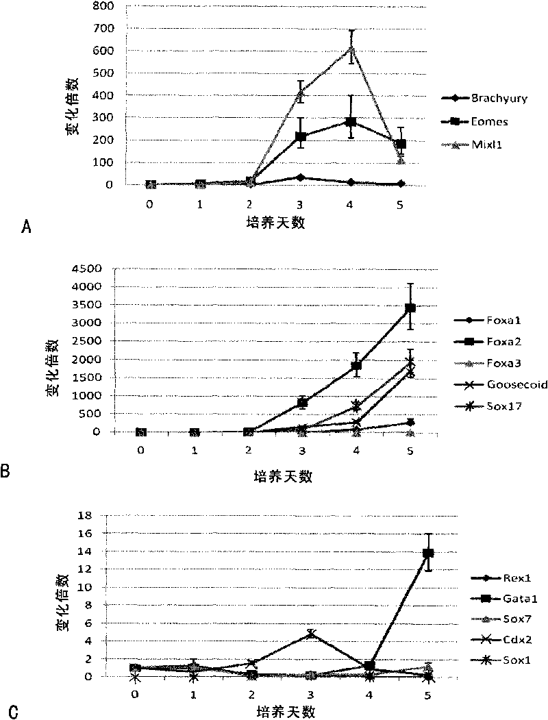 Method for preparing and separating stereotyped endoderm cells by using monolayer culture technology