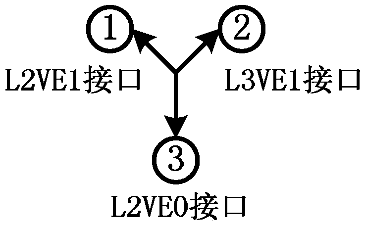 A system and method for realizing dual-node interconnection pseudowire