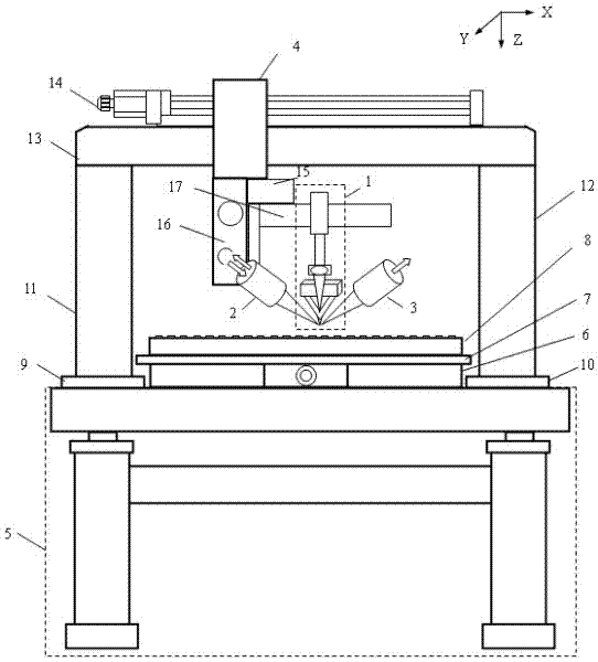 Raman atomic force microscopic detection device and method