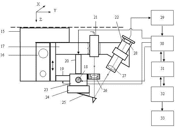 Raman atomic force microscopic detection device and method