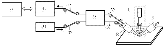 Raman atomic force microscopic detection device and method