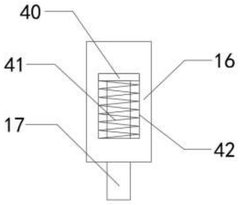 Disinfectant spraying device for animal husbandry