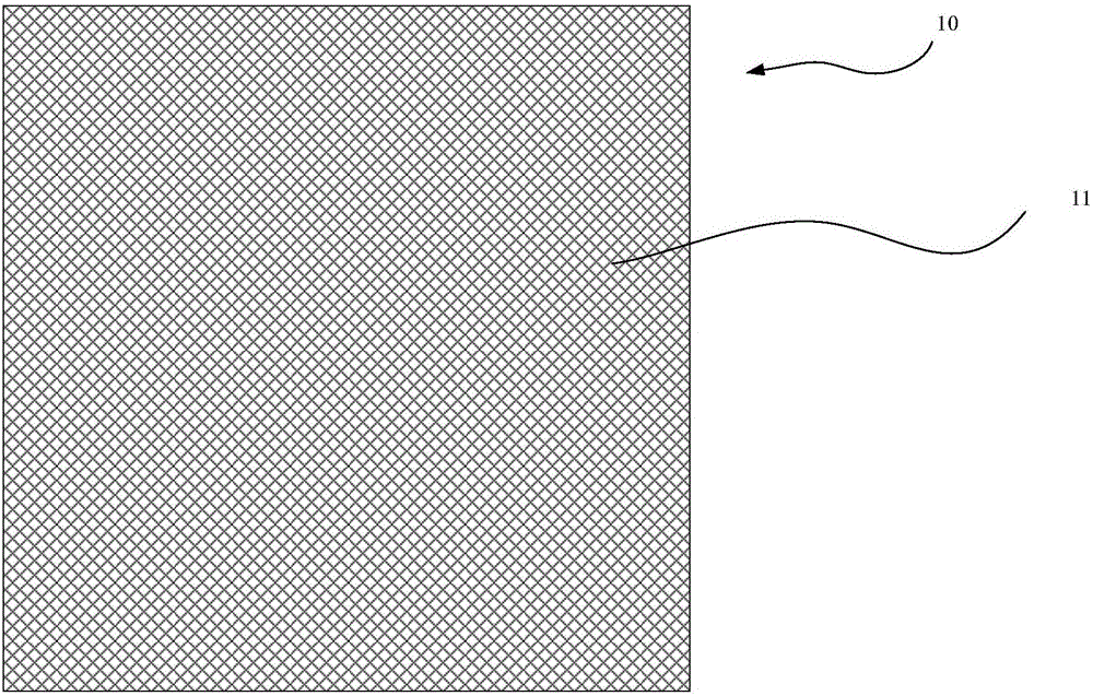 Plasma membrane and preparing method thereof