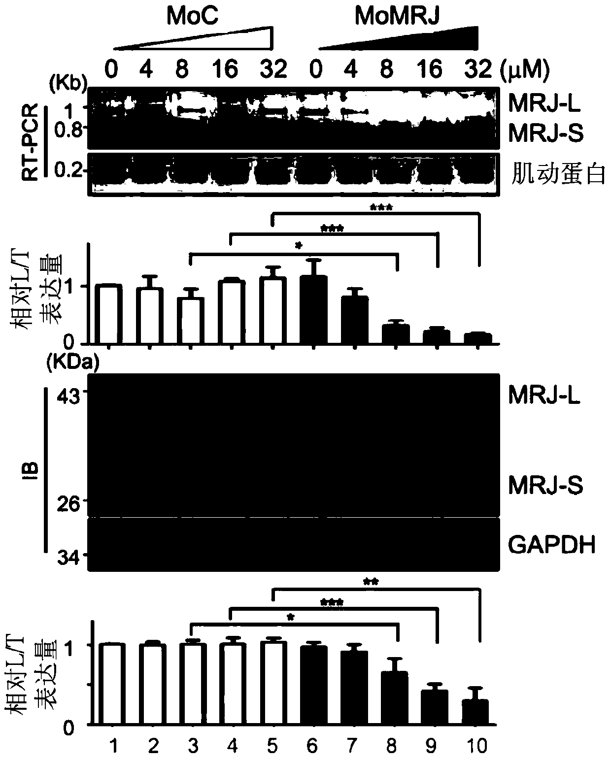 Antiviral agent and method for treating viral infection