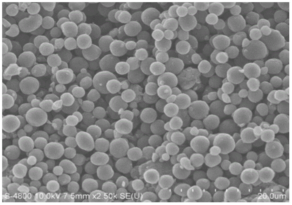 Carbon nanotube microsphere and preparation method and application thereof