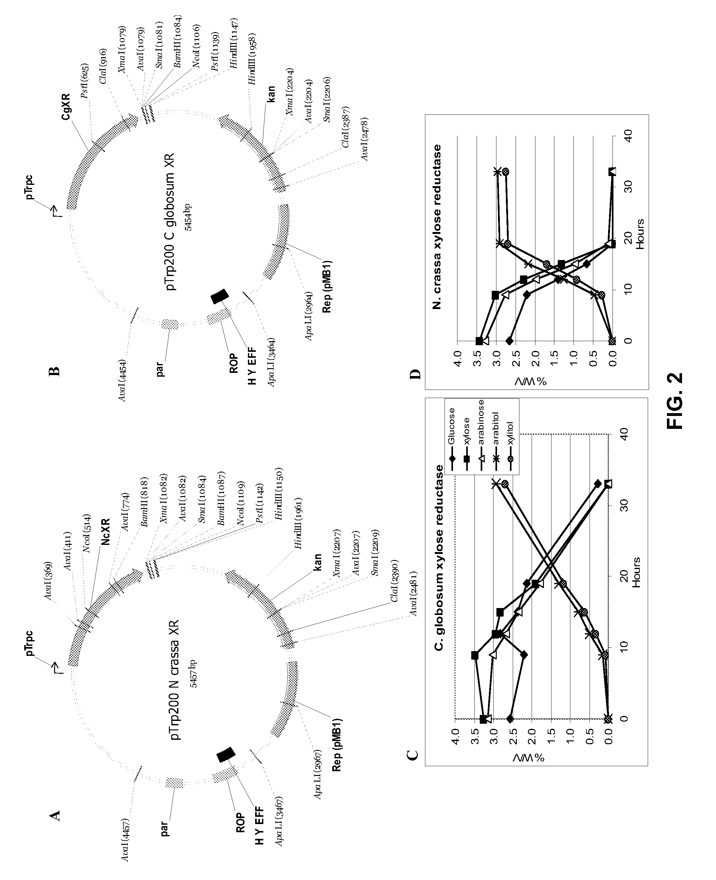 Production of xylitol from a mixture of hemicellulosic sugars