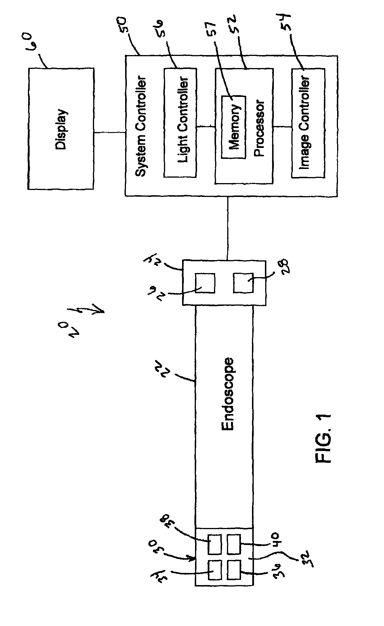 Endoscope with distal tip having encased optical components and display orientation capabilities