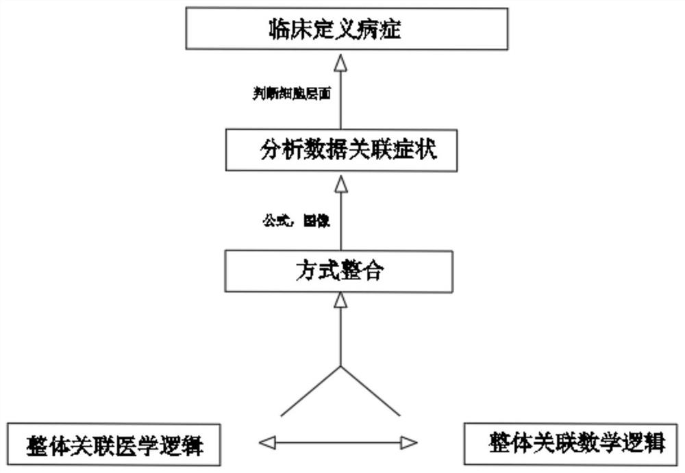 Lung cancer postoperative cancer cell monitor based on overall association medical logic and use method