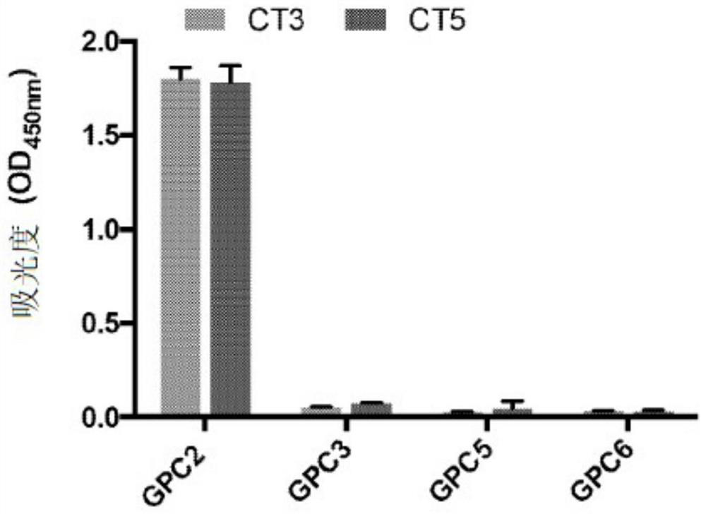 High affinity monoclonal antibodies targeting glypican-2 and uses thereof