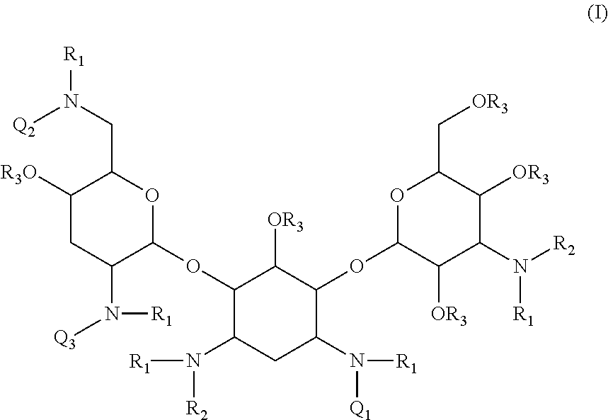 Antibacterial aminoglycoside analogs