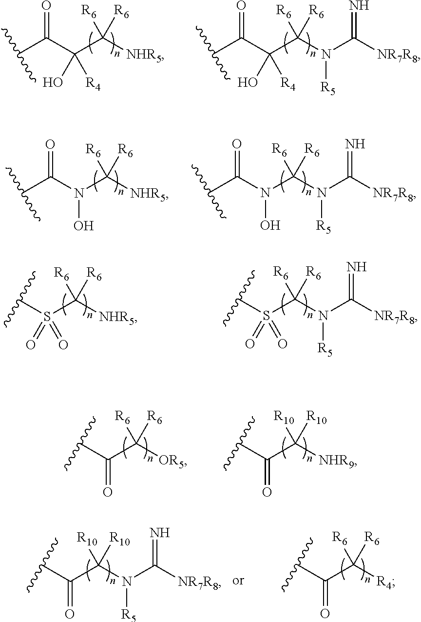 Antibacterial aminoglycoside analogs