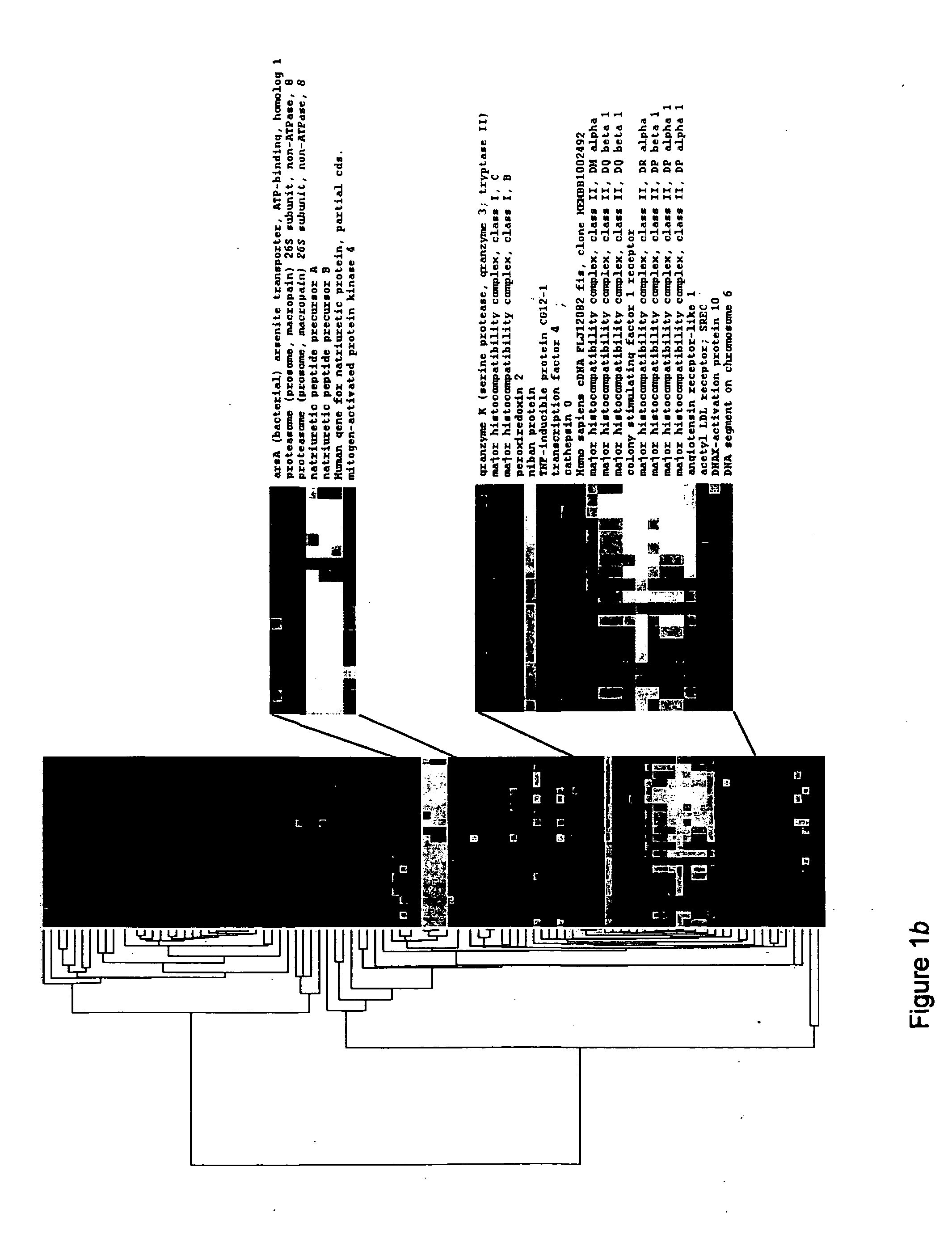 Diagnostic markers and pharmacological targets in heart failure and related reagents and methods of use thereof