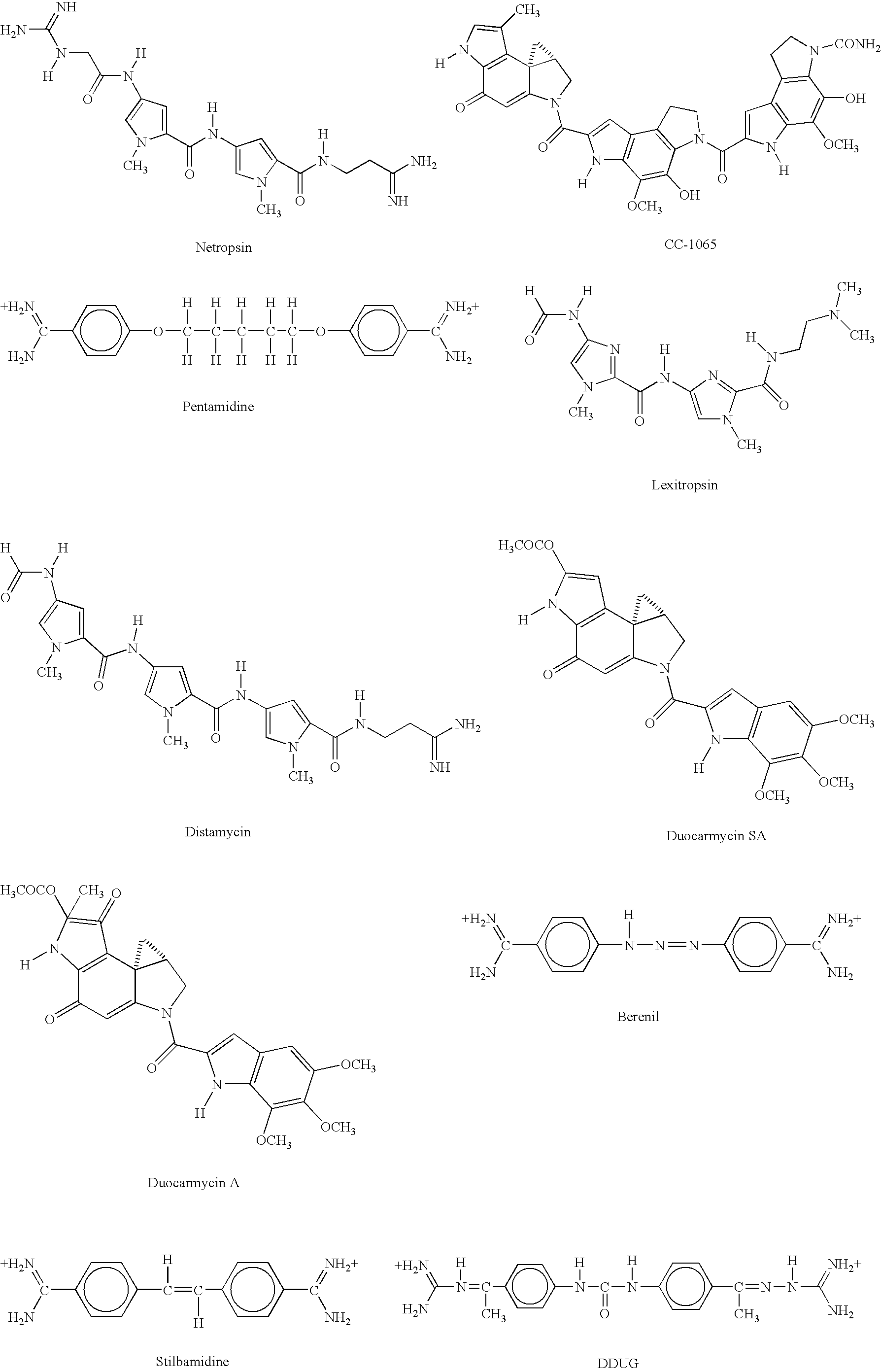 Hybridization and mismatch discrimination using oligonucleotides conjugated to minor groove binders