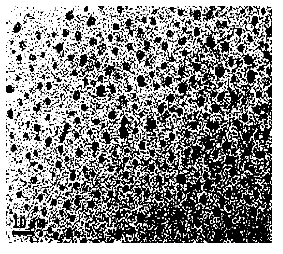 Method for synthesizing fluorescent silver nano clusters by taking general DNA (Deoxyribose Nucleic Acid) as stabilizer