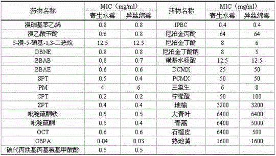 Medicine for preventing fish saprolegniasis and application thereof