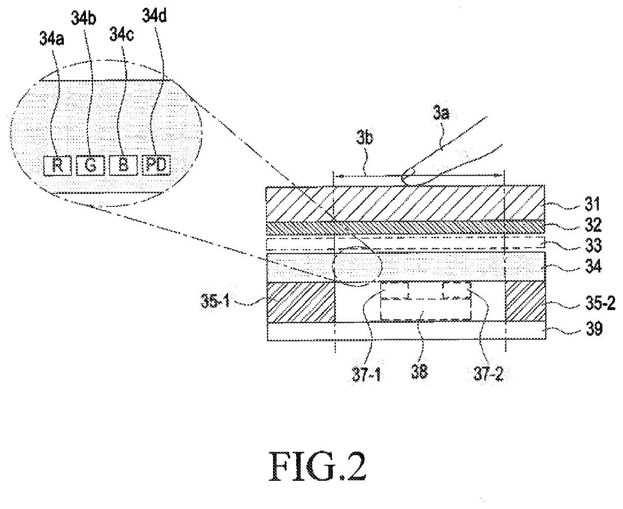 Electronic apparatus having fingerprint recognition function