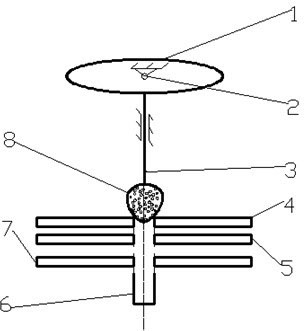 Litchi peeler