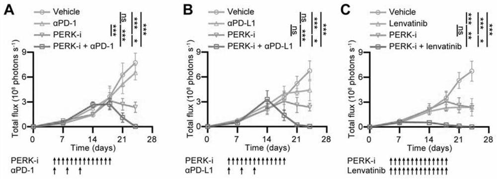 Application of perk inhibitor in the preparation of synergist of liver cancer medicine