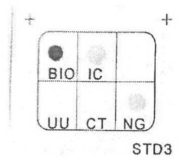 Neisseria gonorrhoeae, Chlamydia trachomatis and Ureaplasma urealyticum detection kits