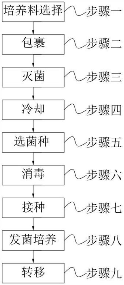 Edible mushroom culture method