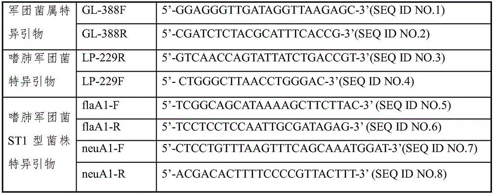 Rapid detection kit and method for legionella pneumophila ST1 strain