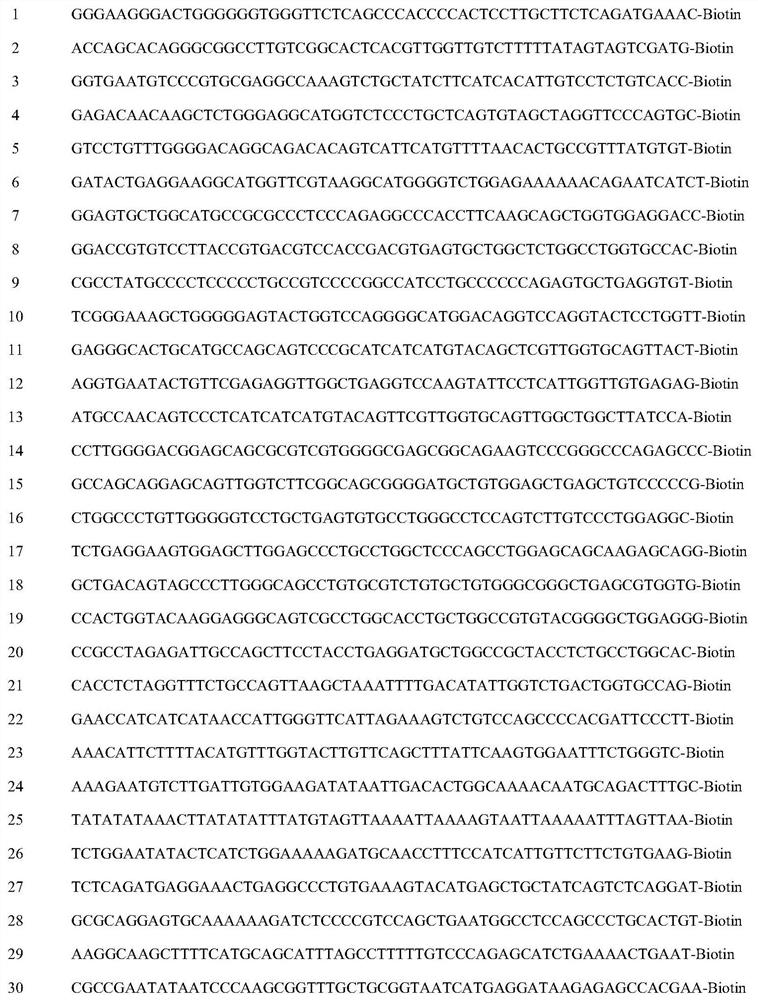 Method and probe sequence for detecting FGFRs gene mutation based on high-throughput sequencing