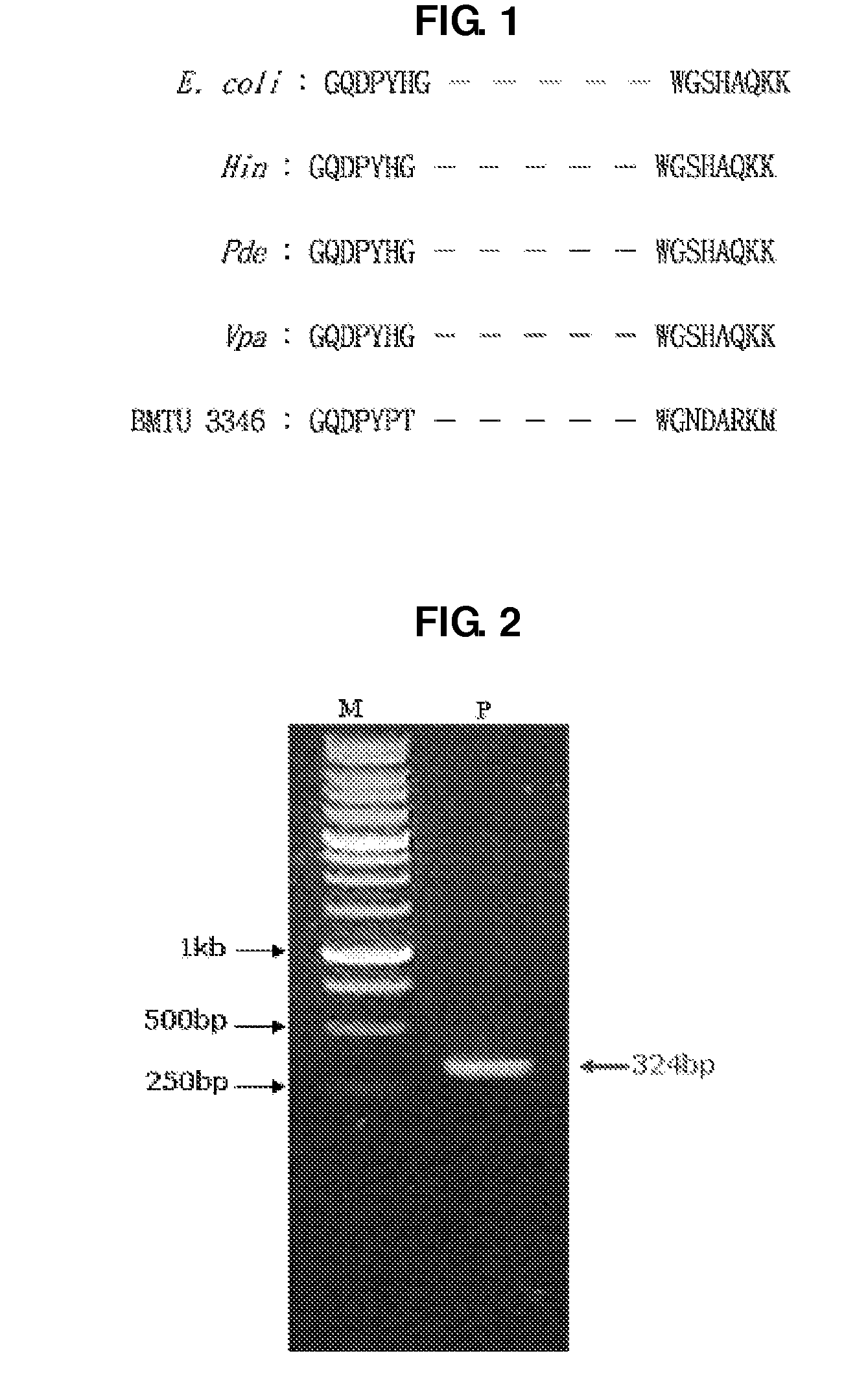 Uracil-DNA glycosylase of <i>Psychrobacter </i>sp. HJ147 and use thereof