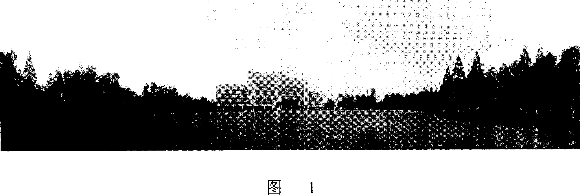 360 degree around panorama generation method based on serial static image