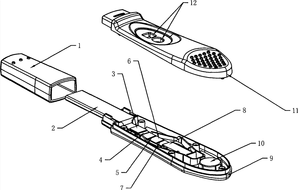 Method and kit for quickly detecting mycobacterium tuberculosis