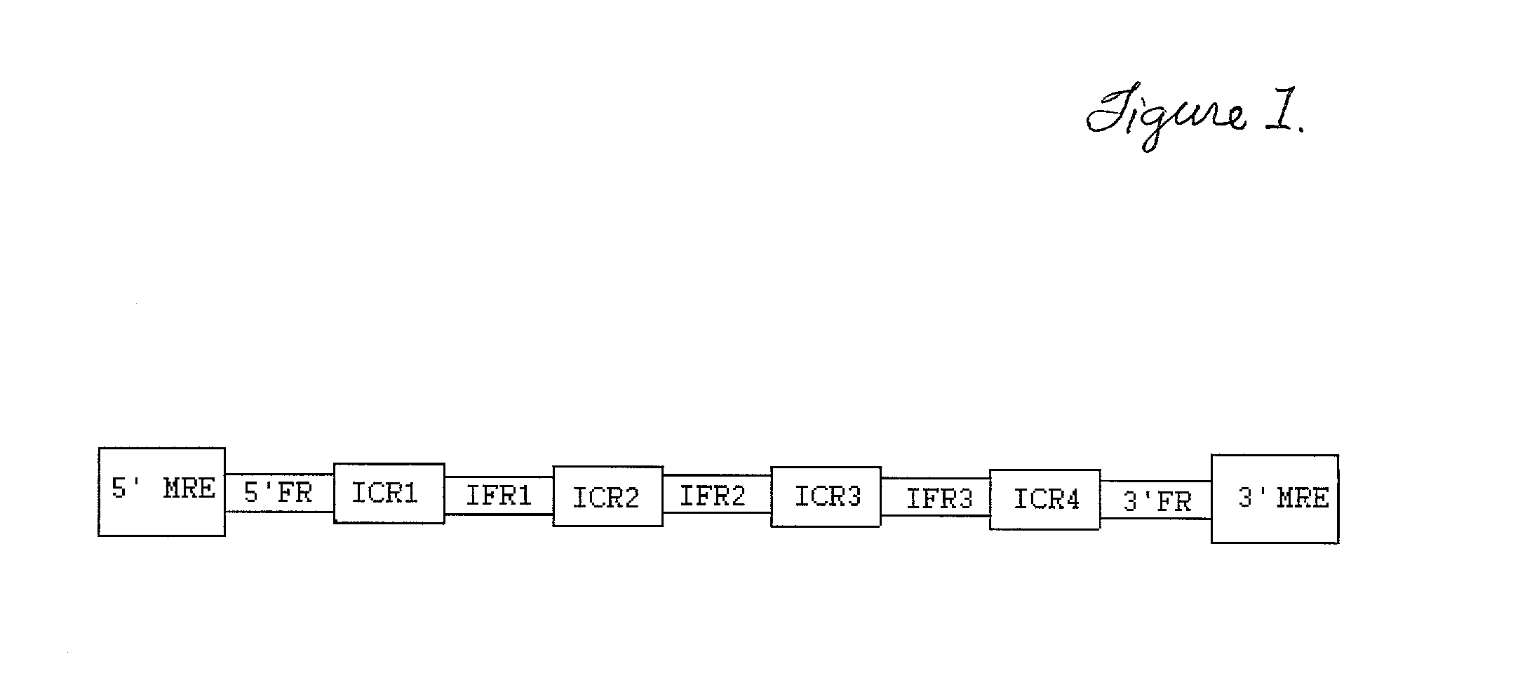 Transgenic identification markers