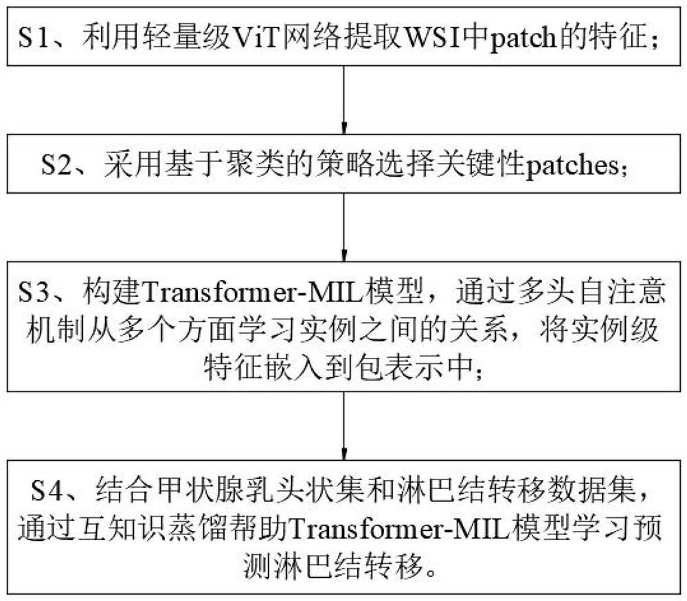 Papillary thyroid carcinoma lymph node metastasis prediction method based on Transform-MIL